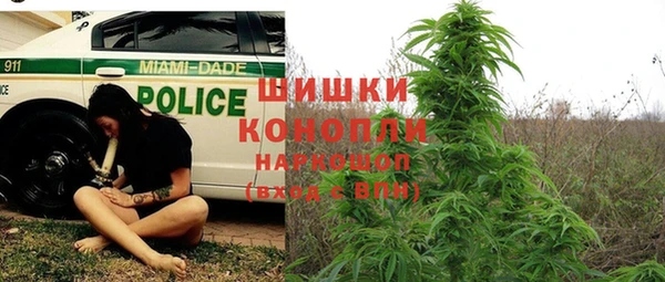 MESCALINE Богданович